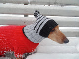 Warm hat for dog or cat, hat for dachshund - dachshundknit