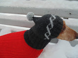 Winter gray warm hat for dog or cat - dachshundknit