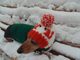 Winter knitted hat squirrels for a small dog, handmade hat dachshund, - dachshundknit