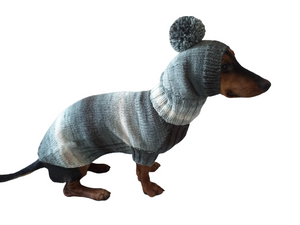 Why dachshund clothes