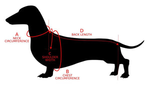 How to take measurements from a dog for knitted clothes.