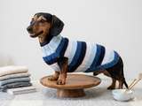 Striped Dachshund Knitted Sweater, Blue Ombre Dog Pullover, Cozy Miniature Dachshund Winter Wear, Stylish Handcrafted Dog Clothes