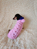 Dachshund Hoodie, Knitted Dog Jumper with Hood, Pink Wiener Dog Clothes, Puppy Winter Sweater, Handmade Pet Apparel