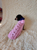 Dachshund Hoodie, Knitted Dog Jumper with Hood, Pink Wiener Dog Clothes, Puppy Winter Sweater, Handmade Pet Apparel