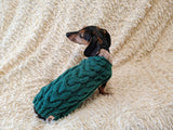 Dachshund Sweater, Knitted Dog Jumper, Green Cable Knit Dog Clothes, Small Dog Outfit, Winter Puppy Apparel, Handmade Dog Gift