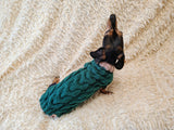 Dachshund Sweater, Knitted Dog Jumper, Green Cable Knit Dog Clothes, Small Dog Outfit, Winter Puppy Apparel, Handmade Dog Gift