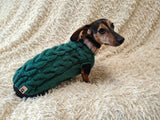 Dachshund Sweater, Knitted Dog Jumper, Green Cable Knit Dog Clothes, Small Dog Outfit, Winter Puppy Apparel, Handmade Dog Gift