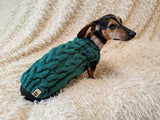 Dachshund Sweater, Knitted Dog Jumper, Green Cable Knit Dog Clothes, Small Dog Outfit, Winter Puppy Apparel, Handmade Dog Gift