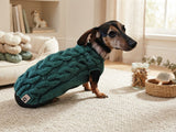 Dachshund Sweater, Knitted Dog Jumper, Green Cable Knit Dog Clothes, Small Dog Outfit, Winter Puppy Apparel, Handmade Dog Gift