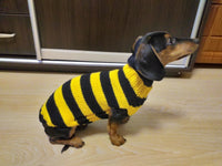 Bee knitted jumper for pets, bee sweater for dog, dachshund bee dog sweater