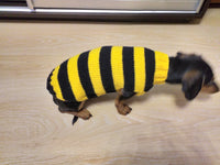 Bee knitted jumper for pets, bee sweater for dog, dachshund bee dog sweater