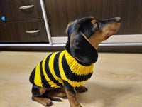 Bee knitted jumper for pets, bee sweater for dog, dachshund bee dog sweater