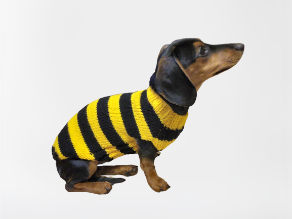 Bee knitted jumper for pets, bee sweater for dog, dachshund bee dog sweater