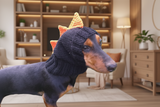 Dinosaur hat for dog, dinosaur dachshund knitted hat, dino dog clothes