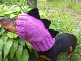 Dinosaur hat for dog, dinosaur dachshund knitted hat, dino dog clothes