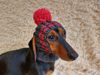 Pet clothes hat with open ears,gift for dog dachshundknit