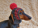 Pet clothes hat with open ears,gift for dog dachshundknit