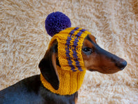 Pet clothes hat with open ears,gift for dog dachshundknit