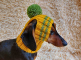 Pet clothes hat with open ears,gift for dog dachshundknit