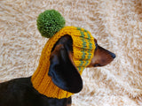 Pet clothes hat with open ears,gift for dog dachshundknit