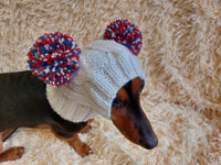 Pet hat with two tricolor pom poms, dachshund dog warm clothes outfit hat with pom poms dachshundknit