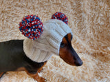 Pet hat with two tricolor pom poms, dachshund dog warm clothes outfit hat with pom poms dachshundknit