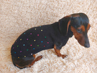 Pet Clothes Rainbow Beaded Jumper Dog Party Sweater Dog Photo Shoot Clothes dachshundknit