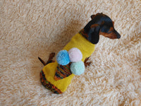 Pet clothing ice cream jumper, ice cream sweater for dogs dachshundknit