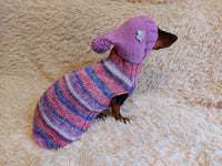 Sweater with hood for dachshund or small dog, sweatshirt knitted for dog dachshundknit