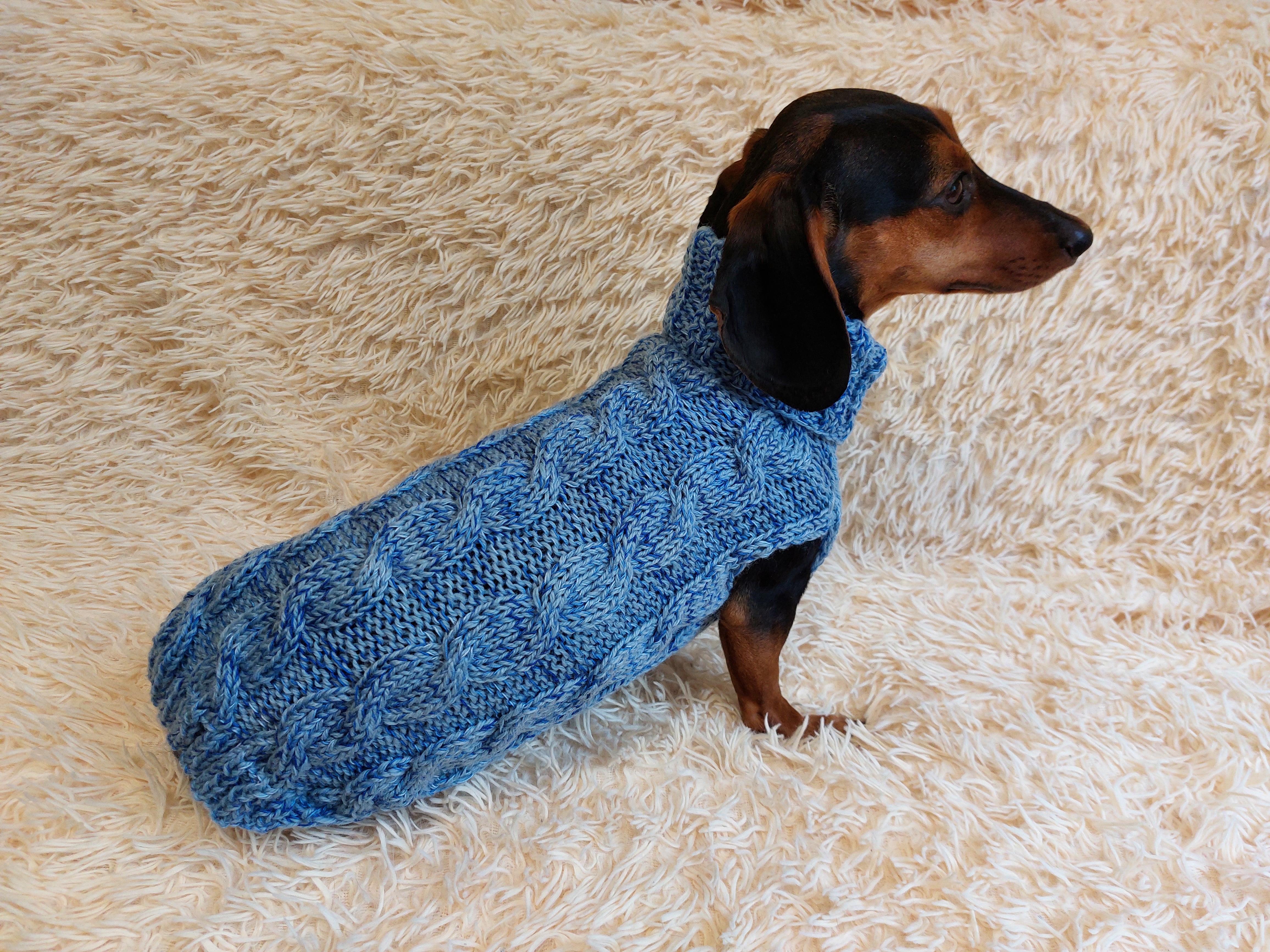 Mini dachshund 2024 jumper pattern