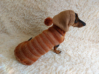 Copy of Warm Wool Stylish Clothes Pet Coat, Dog Hoodie, Dachshund Hooded Sweaters, Clothing for dachshund or small dog with sweater with hoodie dachshundknit