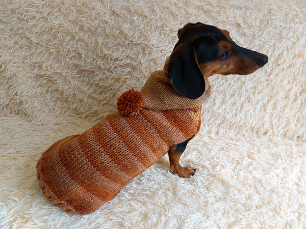 Copy of Warm Wool Stylish Clothes Pet Coat, Dog Hoodie, Dachshund Hooded Sweaters, Clothing for dachshund or small dog with sweater with hoodie dachshundknit