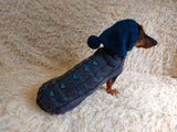 Suit with baseball ball for dog sweater and hat dachshundknit