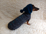 Suit with baseball ball for dog sweater and hat dachshundknit