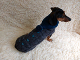 Suit with baseball ball for dog sweater and hat dachshundknit