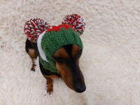 Hat for dog WELSH DRAGON FLAG with two pompoms dachshundknit