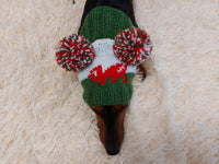 Hat for dog WELSH DRAGON FLAG with two pompoms dachshundknit
