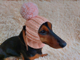 Hat for dog with pompom and holes for the ears