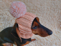 Hat for dog with pompom and holes for the ears