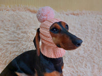 Hat for dog with pompom and holes for the ears