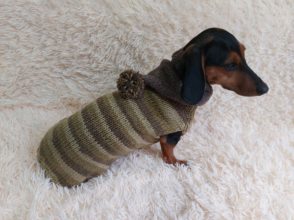 Warm Wool Stylish Clothes Pet Coat, Dog Hoodie, Dachshund Hooded Sweaters, Clothing for dachshund or small dog with sweater with hoodie