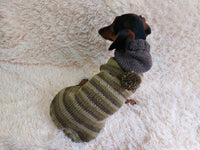 Warm Wool Stylish Clothes Pet Coat, Dog Hoodie, Dachshund Hooded Sweaters, Clothing for dachshund or small dog with sweater with hoodie