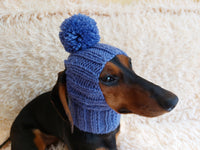 Hat for dog with pompom and holes for the ears