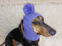 Hat for dog with pompom and holes for the ears