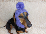 Hat for dog with pompom and holes for the ears