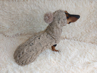 Alpaca coat and hat for dogs, knitted dachshund clothes sweater and hat, winter dachshund suit sweater and hat