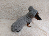 Gray alpaca wool costume with classic arana sweater and hat for dachshund or small dog, winter set sweater and hat for dogs