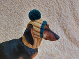 Hat for dog with pompom and holes for the ears