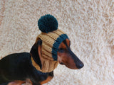 Hat for dog with pompom and holes for the ears