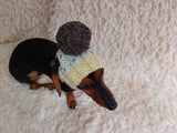 Hat for dog with pompom and holes for the ears